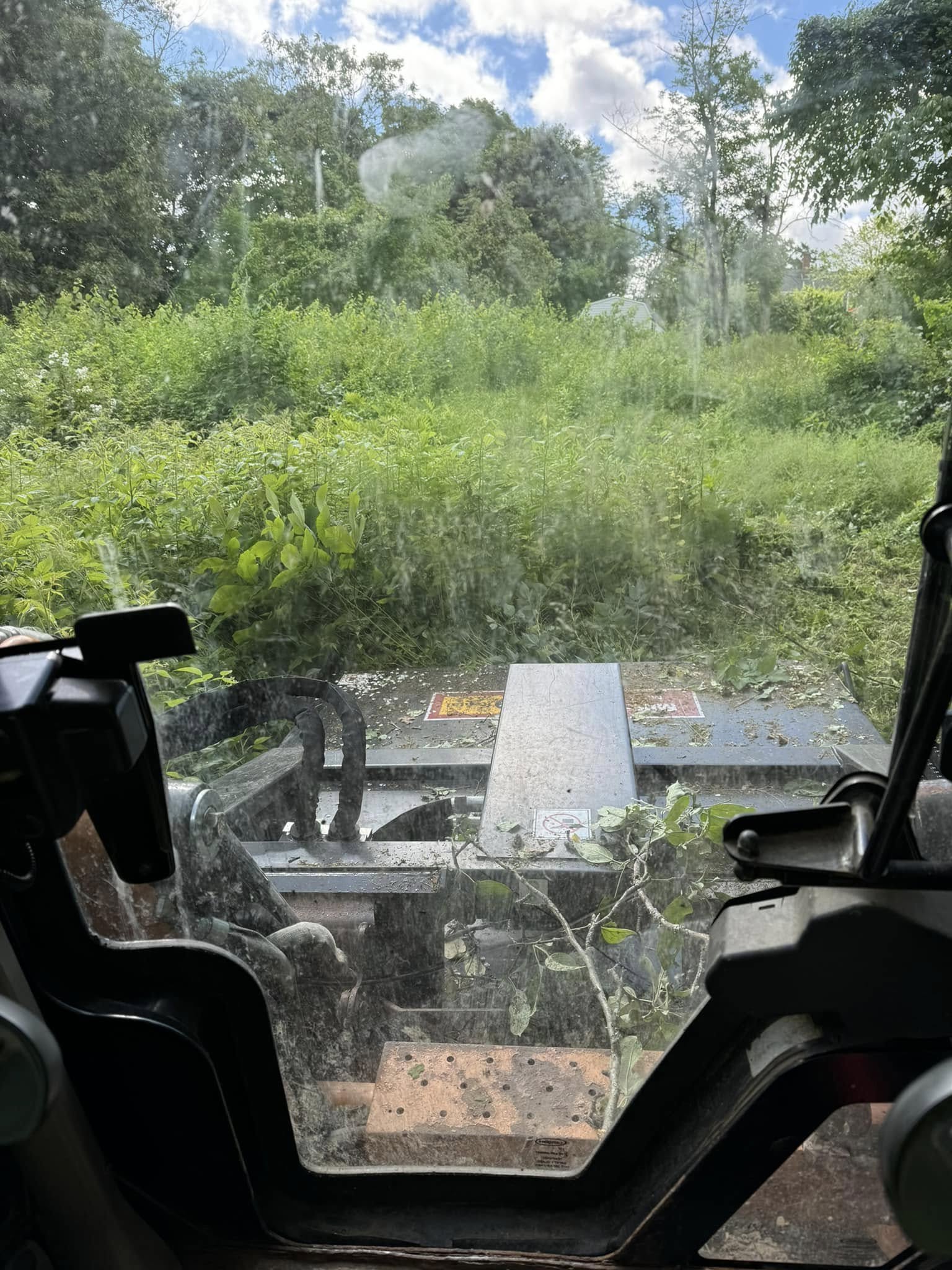Overgrowth Reclamation & Brush Clearing