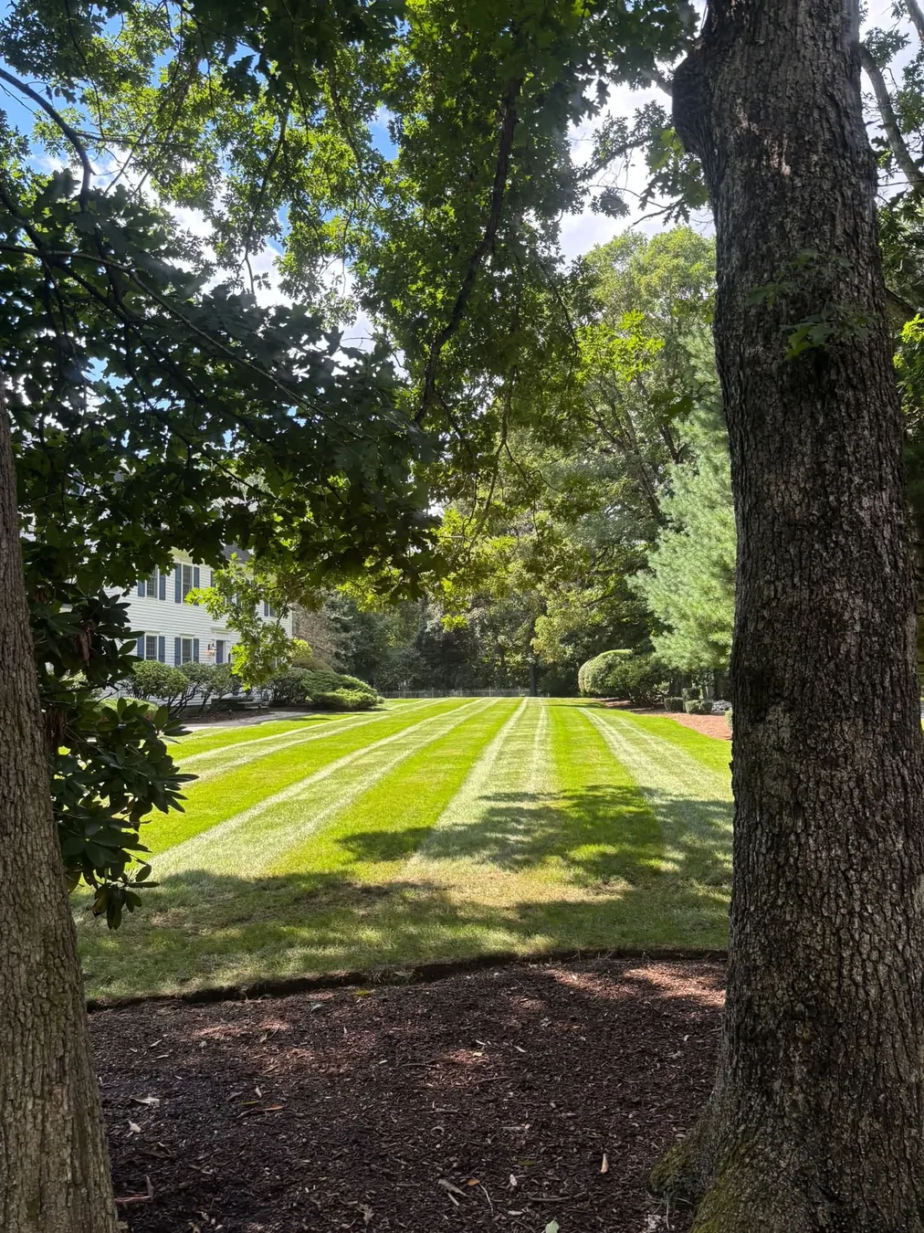 Established New England landscape with maintained lawn and garden
