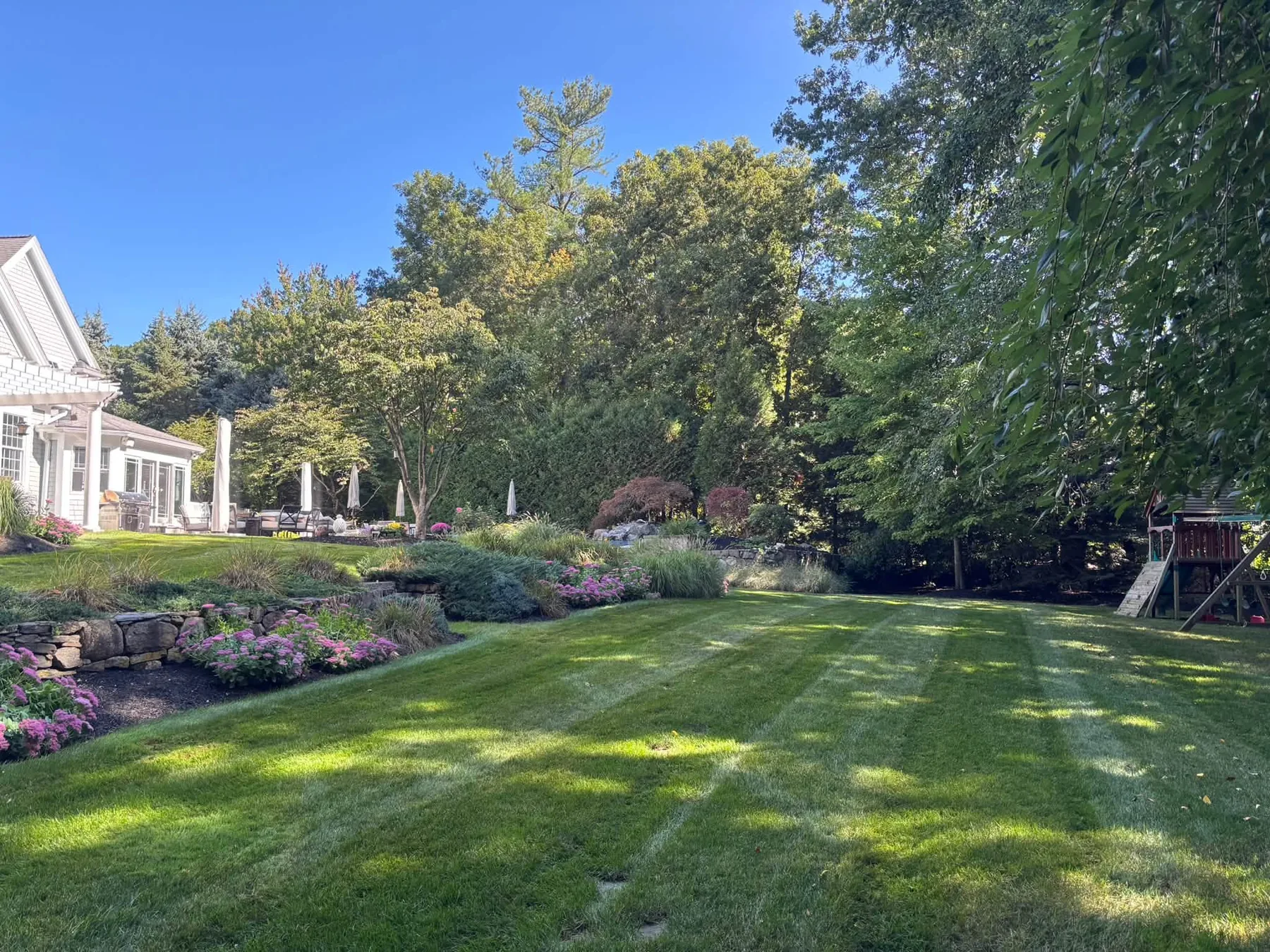 Maintained lawn and planted beds along a residential garden